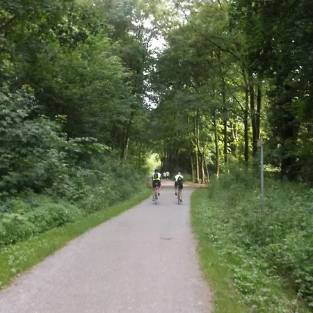 דירה Chic And Spacious 2-room In Center *